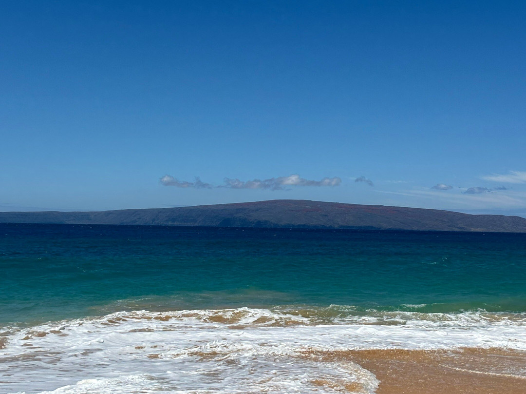 Makena State Park-维雷亚必去景点