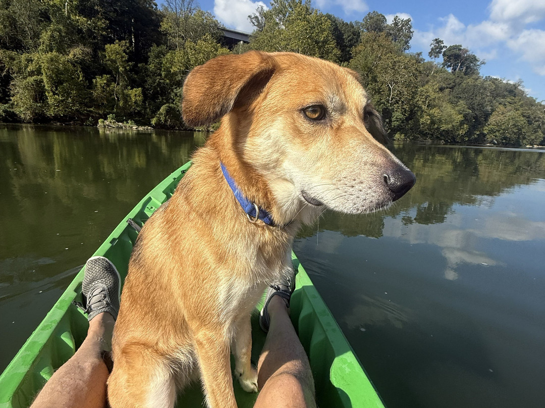 Fletcher's Boathouse-华盛顿特区必去景点