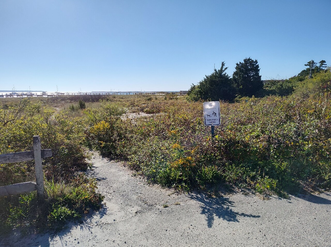 Eugenia Fortes Beach-Hyannis Port必去景点