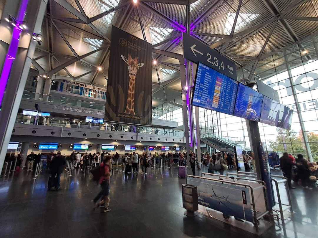 Euroairport Basel-Mulhouse-Freiburg-圣路易斯必去景点