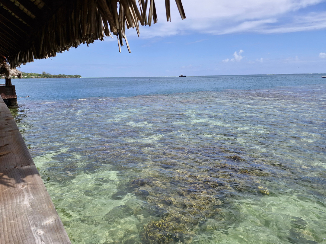 卡维卡酒店主图