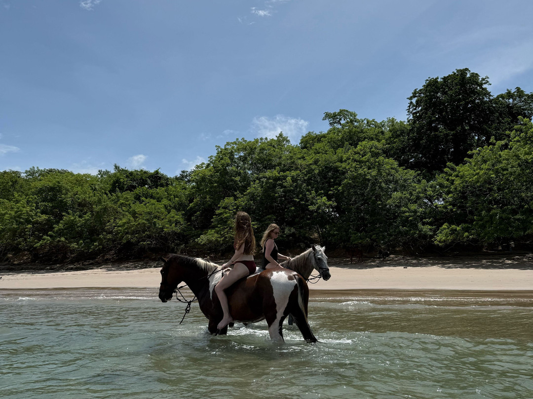Riding Escapes-Puerto Viejo必去景点