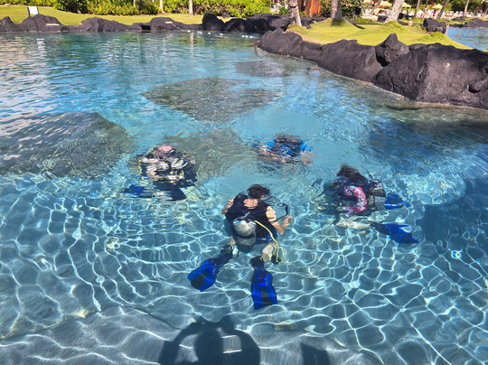 Dive Kauai Scuba Center-可洛亚必去景点