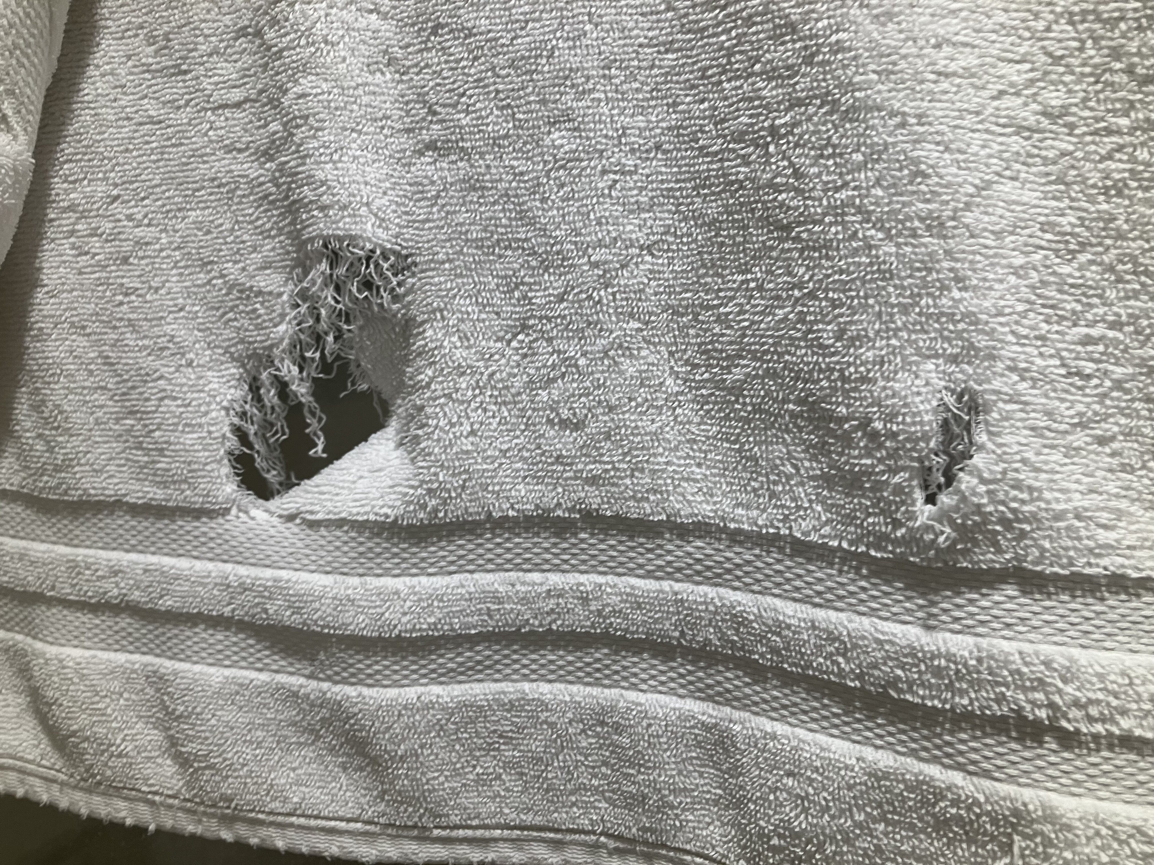 印度棕榈乡村俱乐部度假酒店-官方