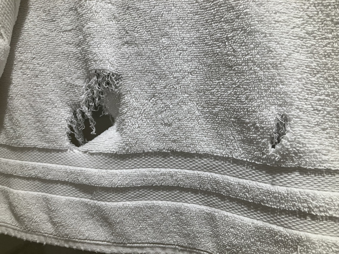 印度棕榈乡村俱乐部度假酒店主图