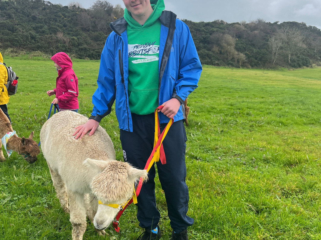 North Coast Alpacas-科尔雷恩必去景点