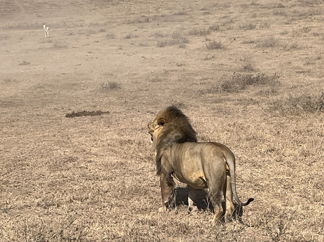 Kandoo Adventures-彭里斯必去景点