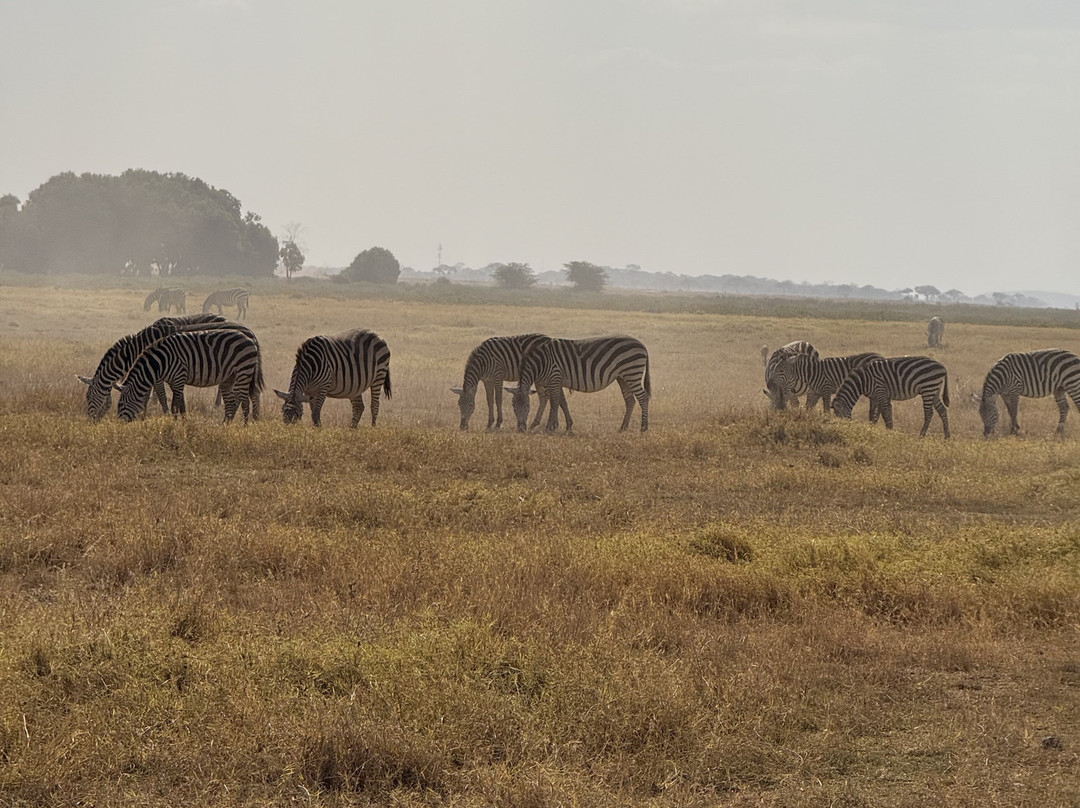 Totti Kenya-安博塞利国家公园必去景点
