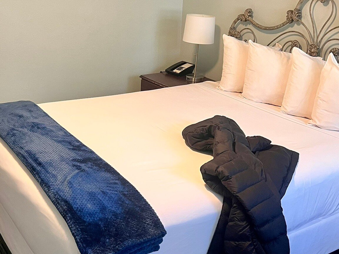 The Victorian Inn主图