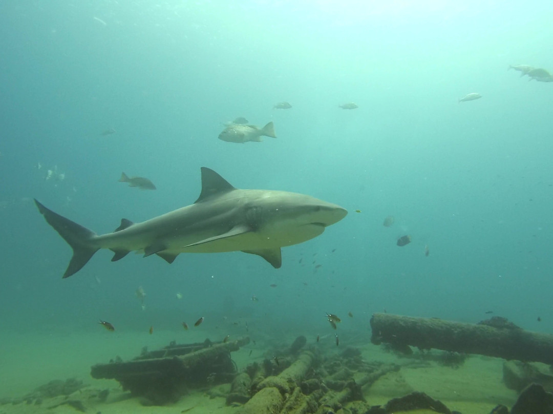 Cabo Pulmo Travel-Cabo Pulmo必去景点
