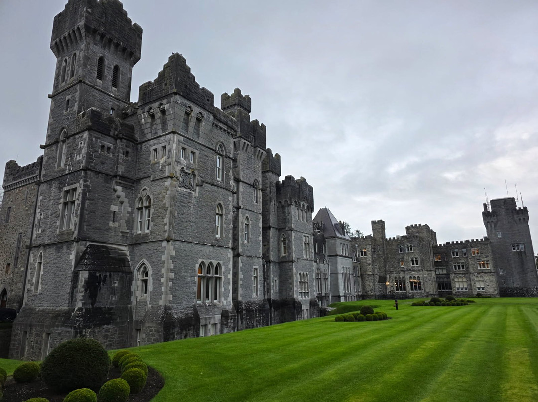 Lydon’s of Galway-都柏林必去景点