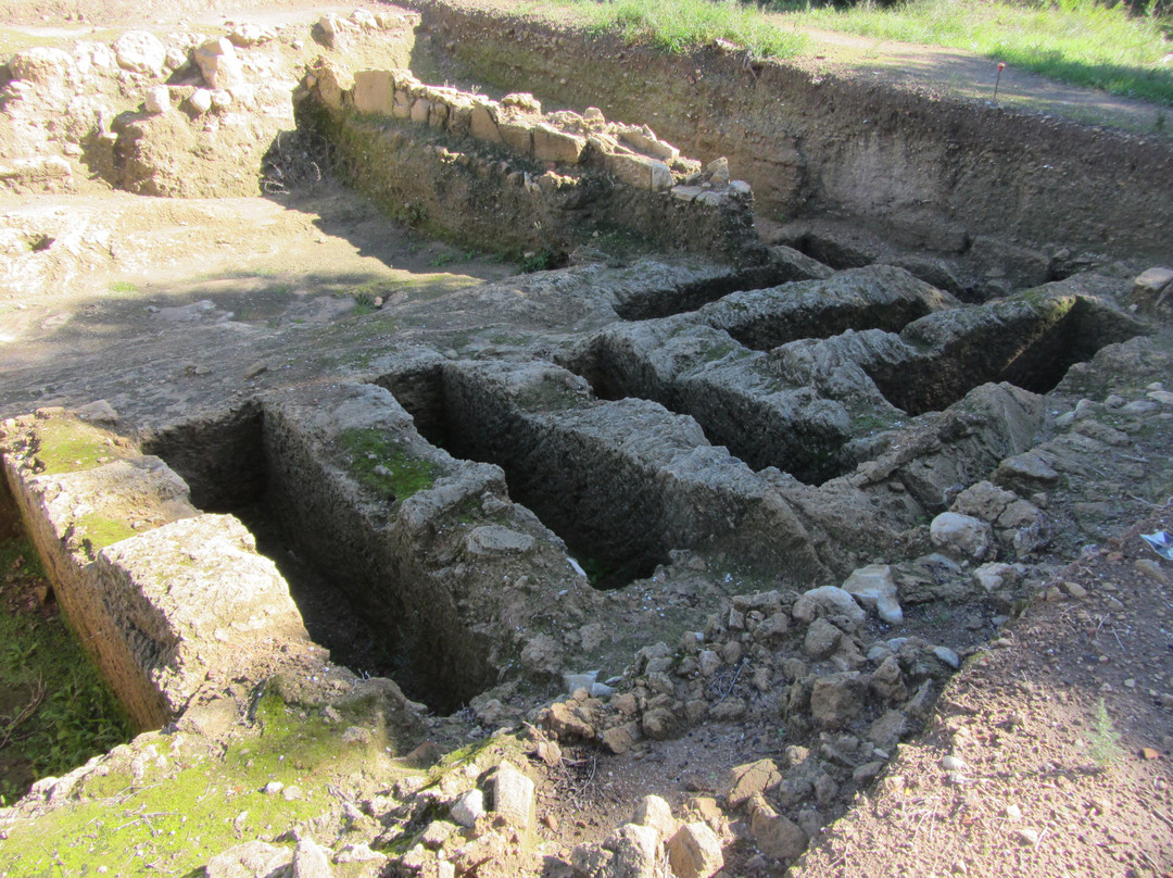 Ciutat Romana de Pollentia-阿库迪亚必去景点