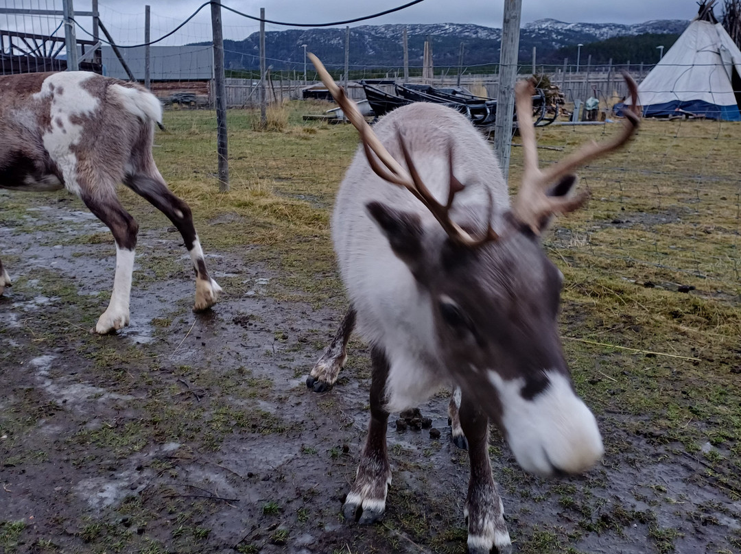 Sami Siida-阿尔塔必去景点