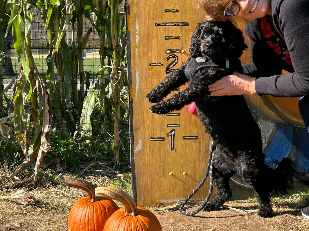 Secor Farms-莫沃必去景点