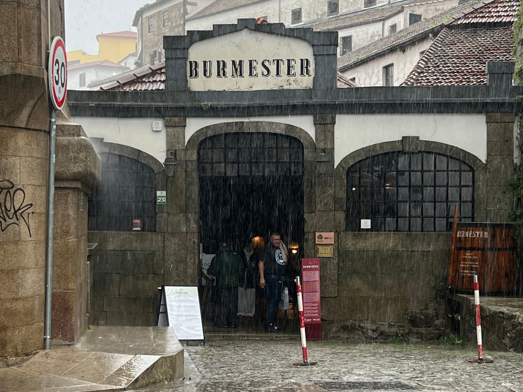 Burmester-加亚新城必去景点