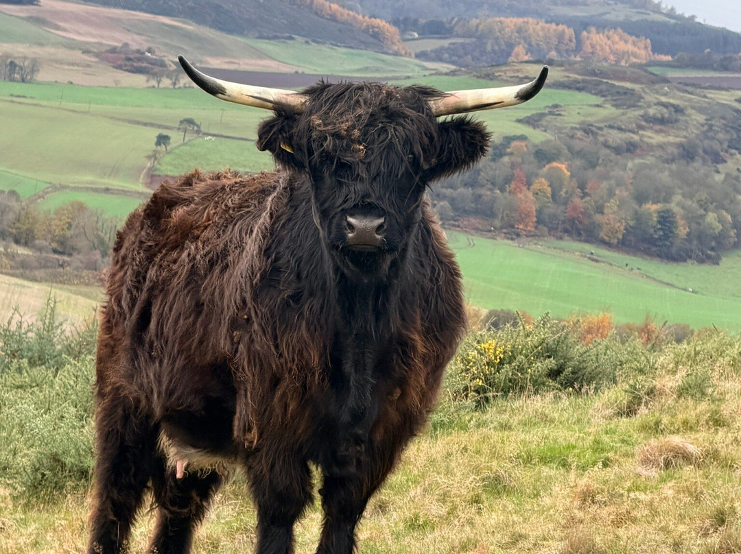 Lindores Equestrian-Newburgh必去景点