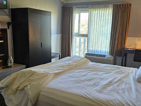 纳托马旅店主图