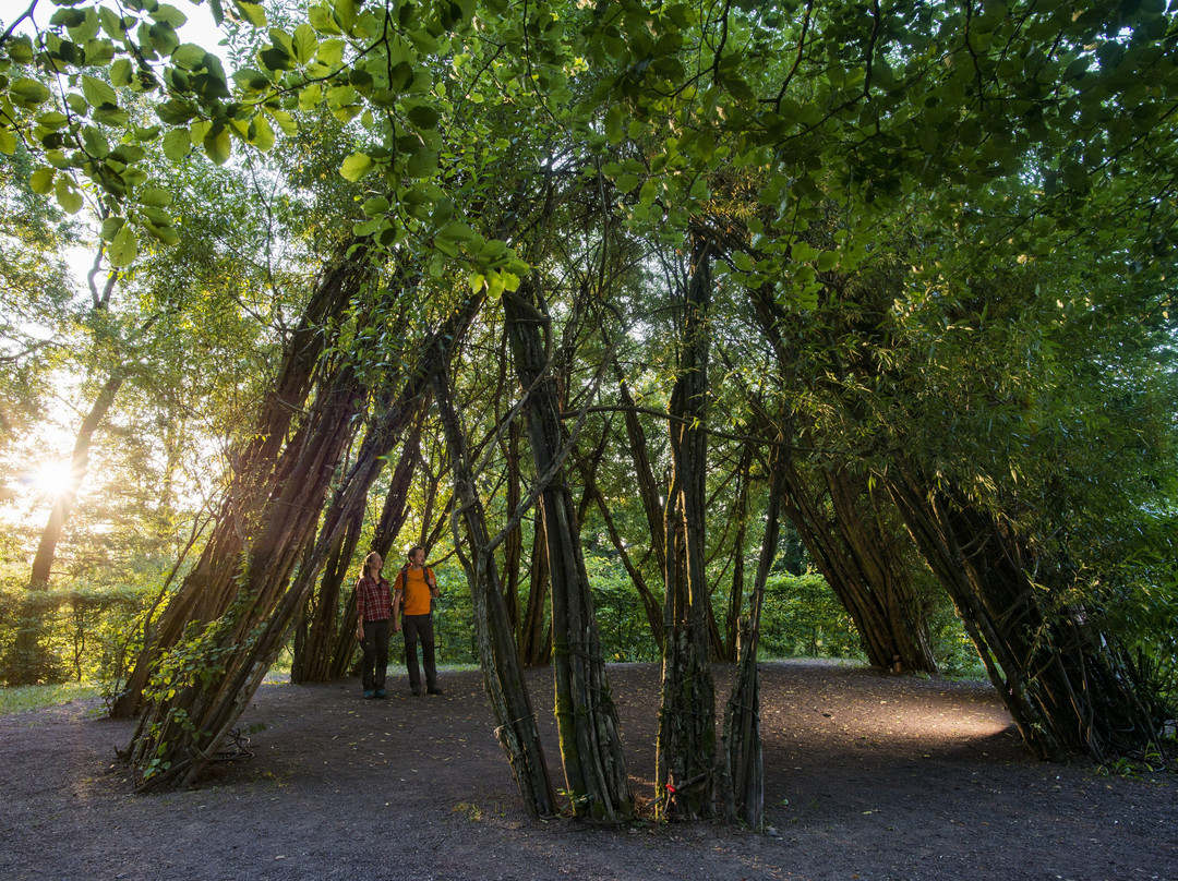 Litermont-Gipfel-Tour-Nalbach必去景点