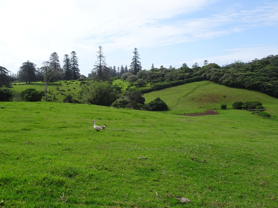 St. Barnabas Chapel-诺福克岛必去景点
