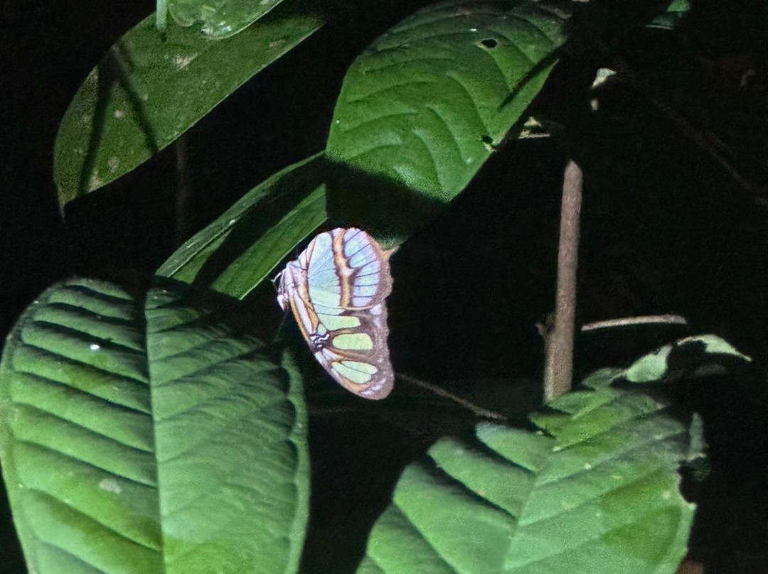 Parque Ecologico Mundo Amazonico-莱蒂西亚必去景点