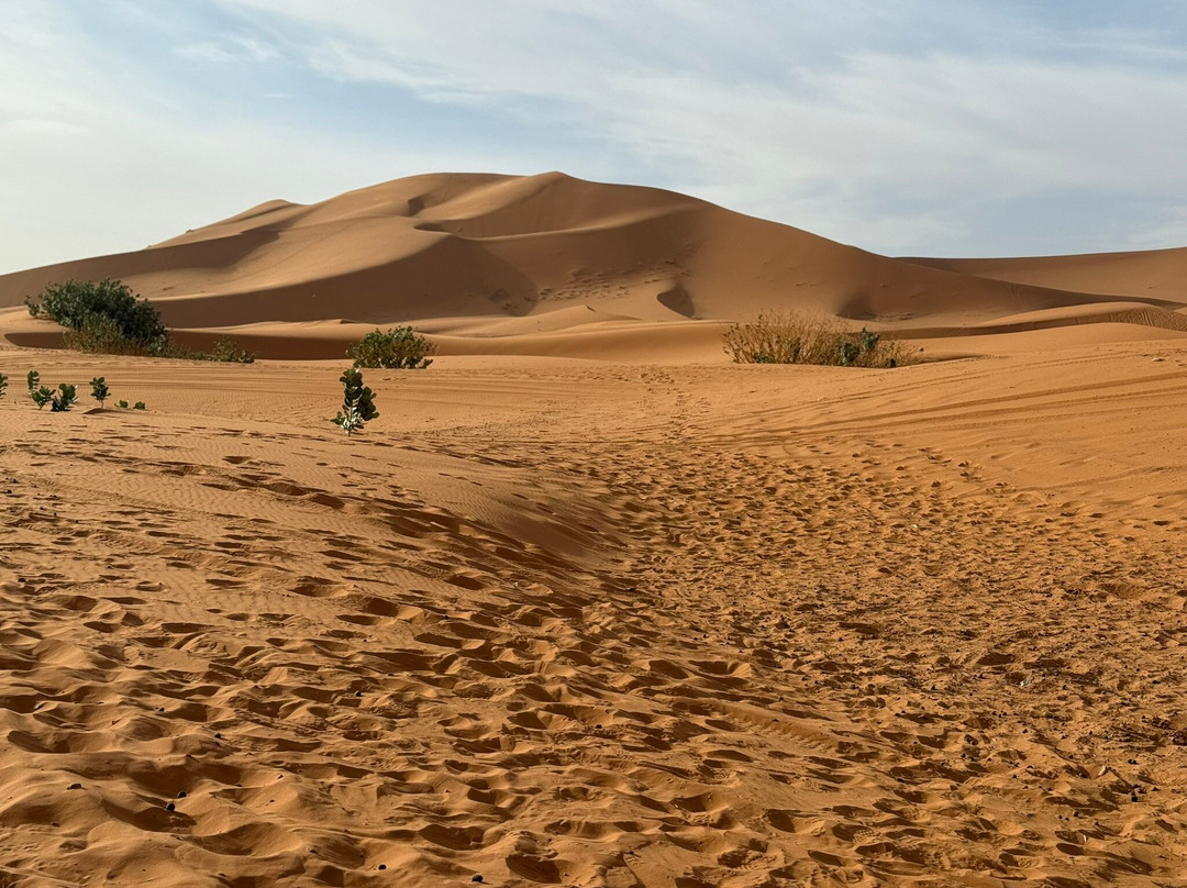 Moroccan Guides Travel-马拉喀什必去景点