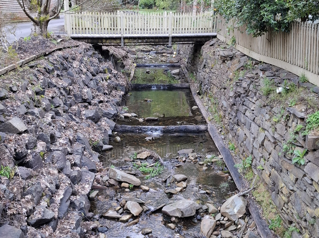 Windsor House Walhalla主图