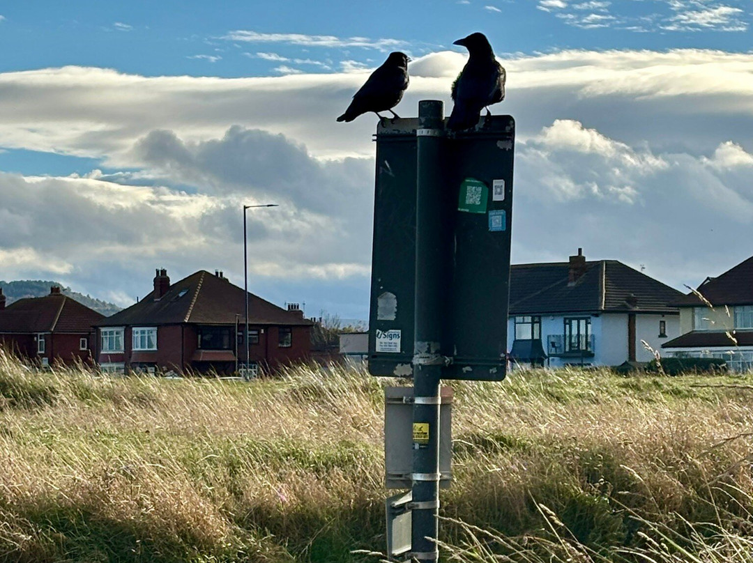 Marske Sands Beach-Marske-by-the-Sea必去景点
