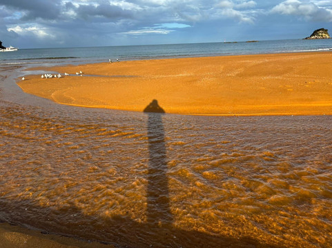 No Worries Tours-特拉维夫必去景点