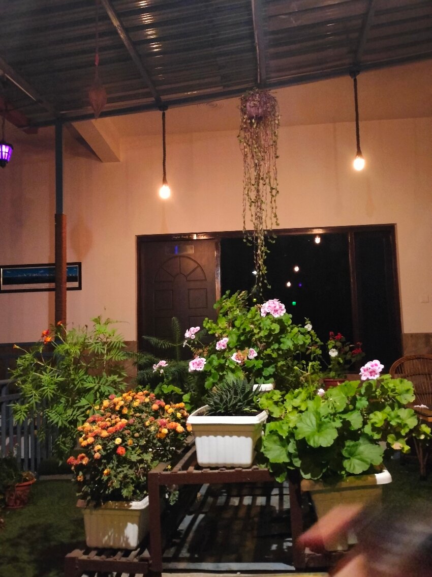 Alpine Rhapsody-官方