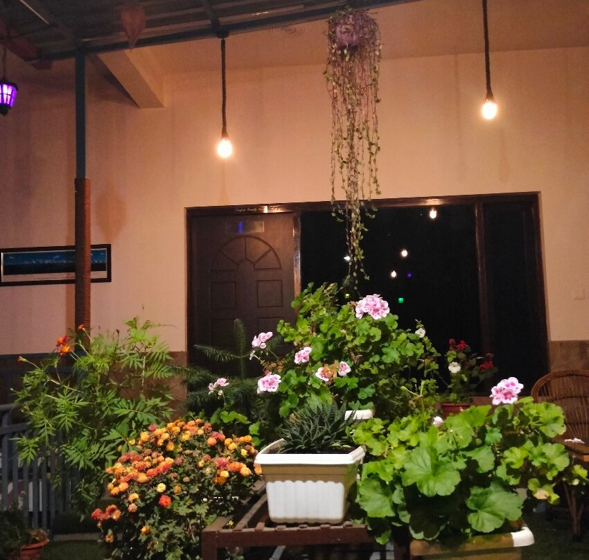 Alpine Rhapsody主图