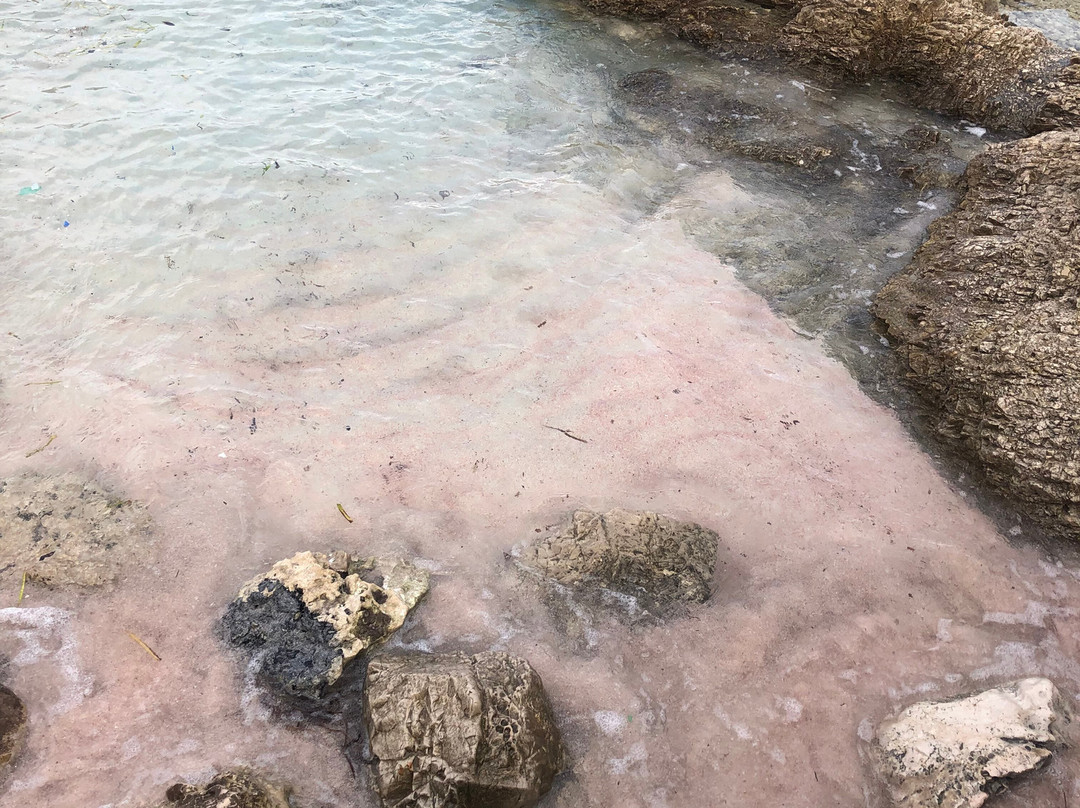 Cala Agulla-Cala Ratjada必去景点