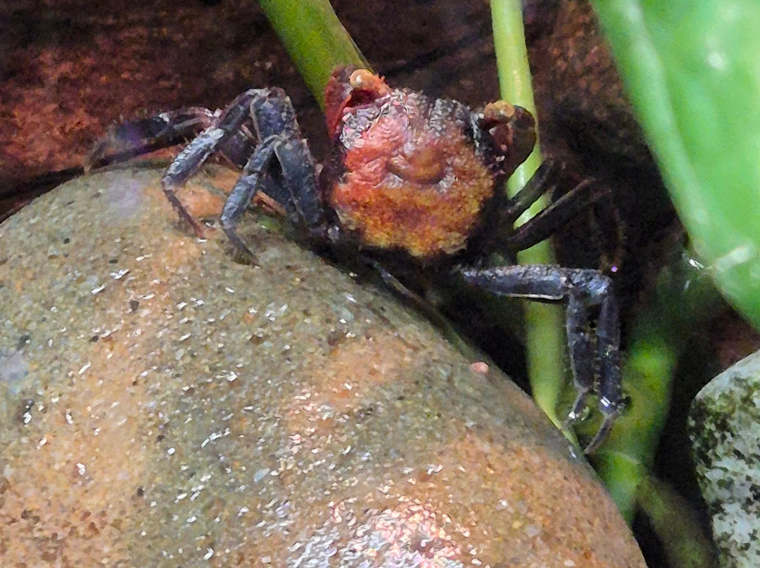 Sea Life Scarborough-斯卡伯勒必去景点