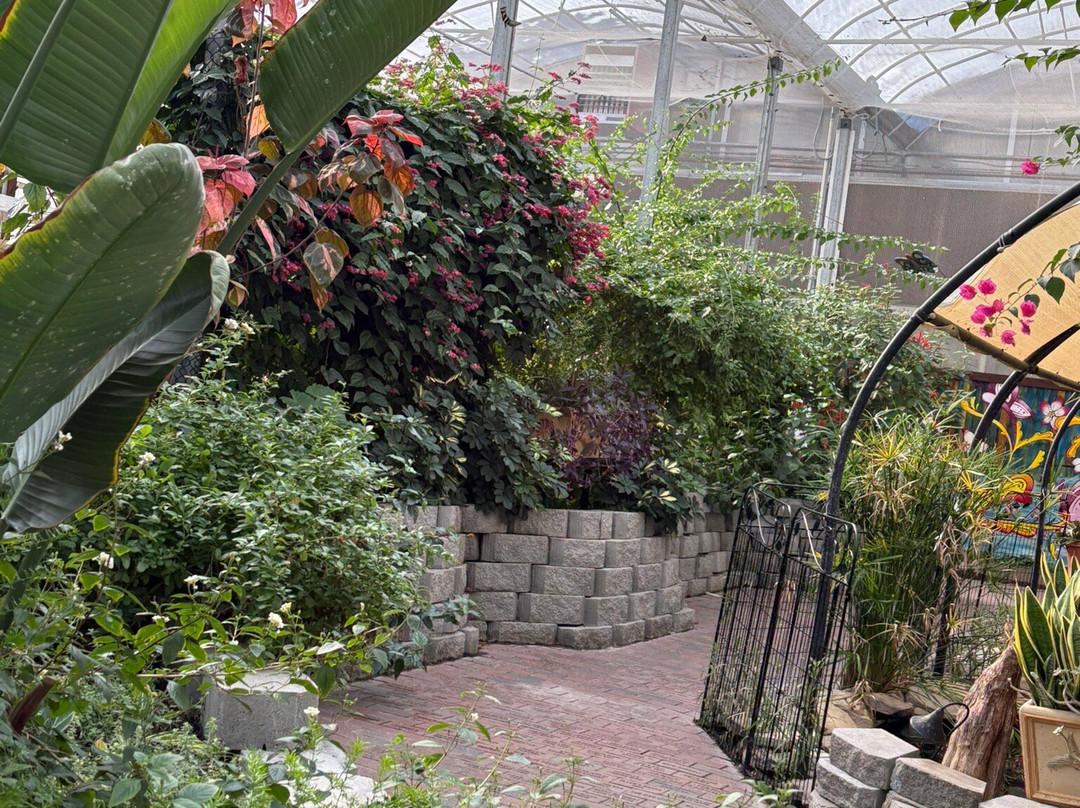 Cyprus Gardens-蒙克斯科纳必去景点