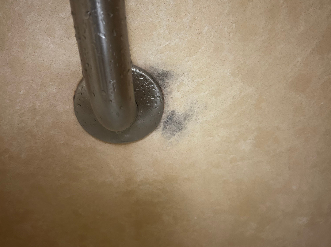 Hampton Inn & Suites Columbia at University主图