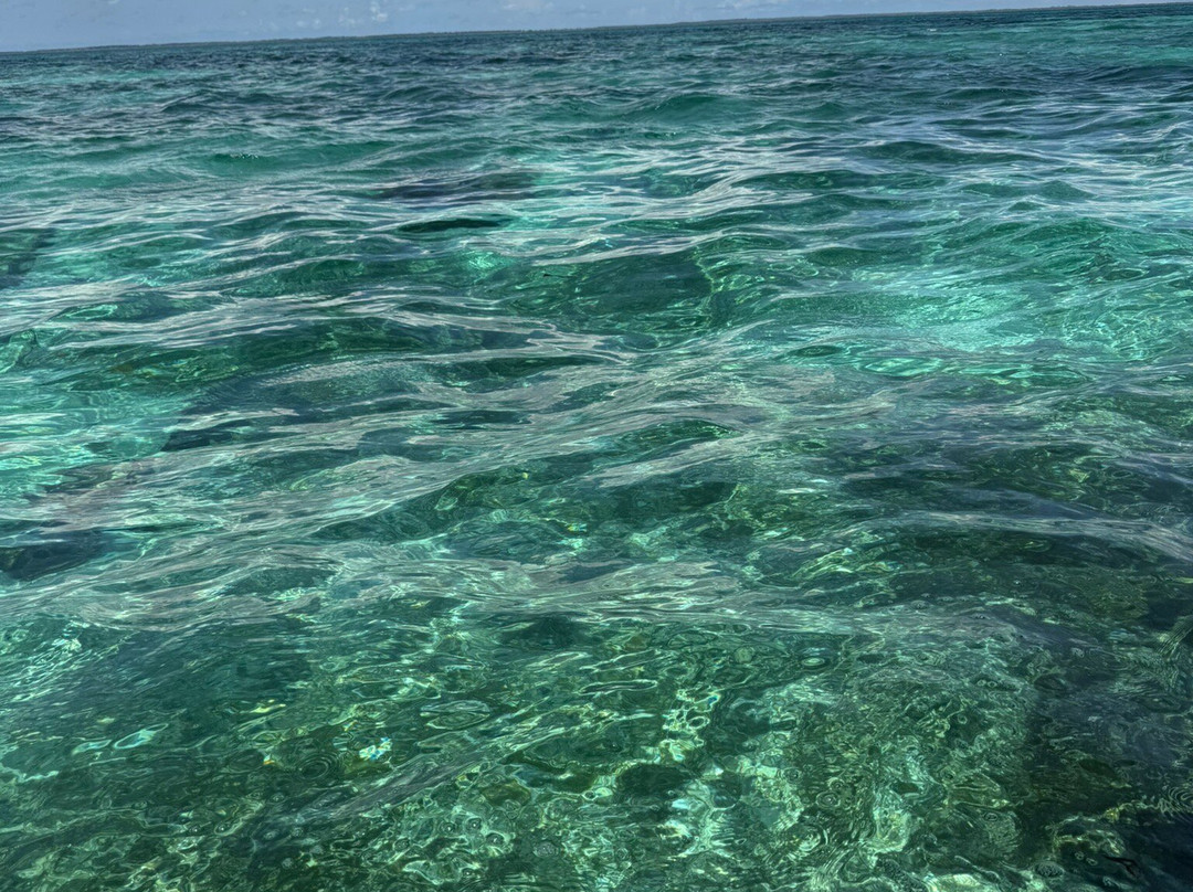 Dive Time Zanzibar-Kizimkazi必去景点