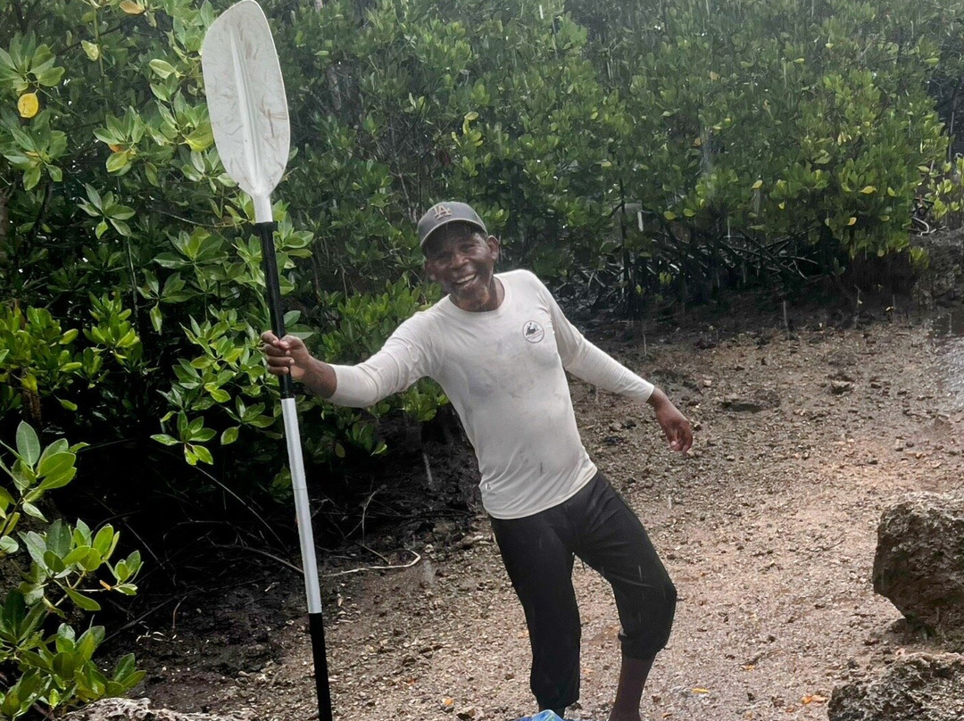 Bwejuu Mangrove Tunnels Kayak-必韦久必去景点
