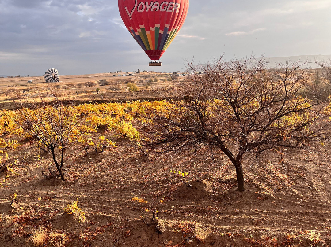 Discovery Balloons-格雷梅必去景点