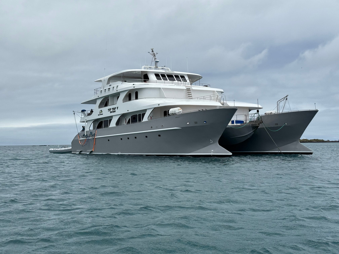 Rolf Wittmer & Tip Top Travel - Galapagos Cruises-阿约拉港必去景点