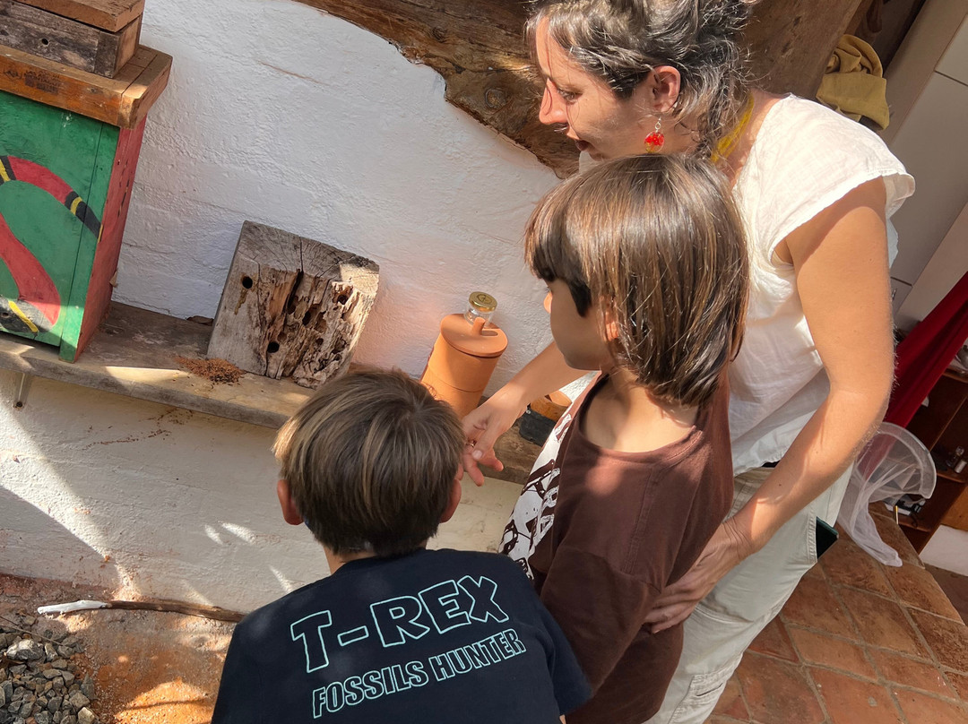 Santuario de Abejas-巴里查拉必去景点