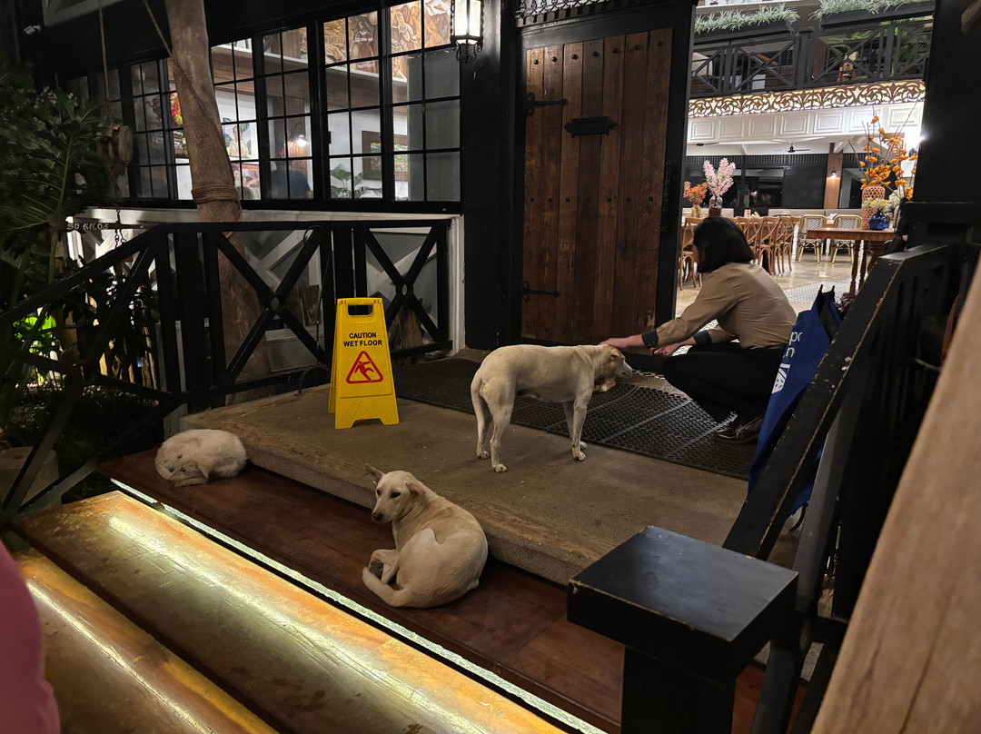 Ricardo's By Cucina Higala