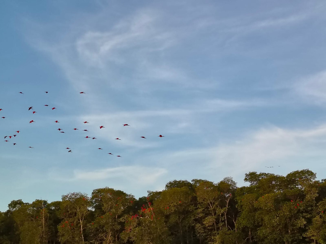 Guará Transfer-Luis Correia必去景点