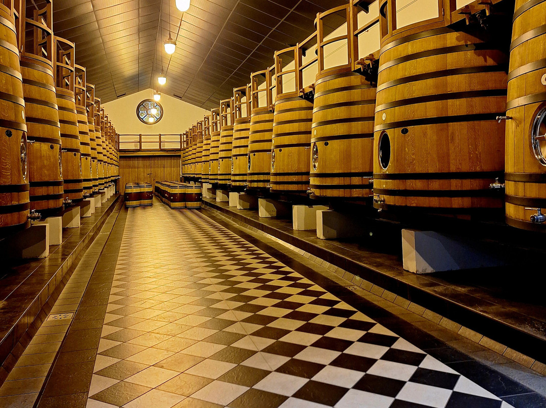 Château Pape Clément-Pessac必去景点