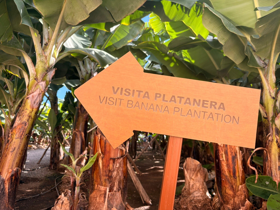 La Rekompensa Mundo del Plátano-Arucas必去景点