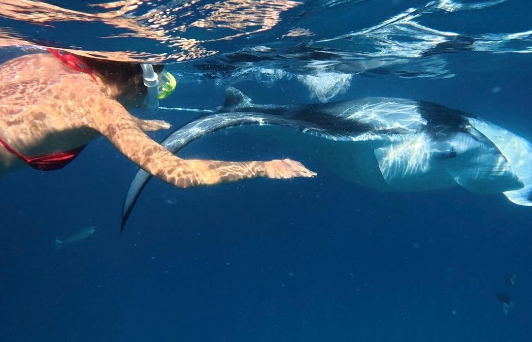 Murakabay Maldives Dive Center-乌库拉斯必去景点