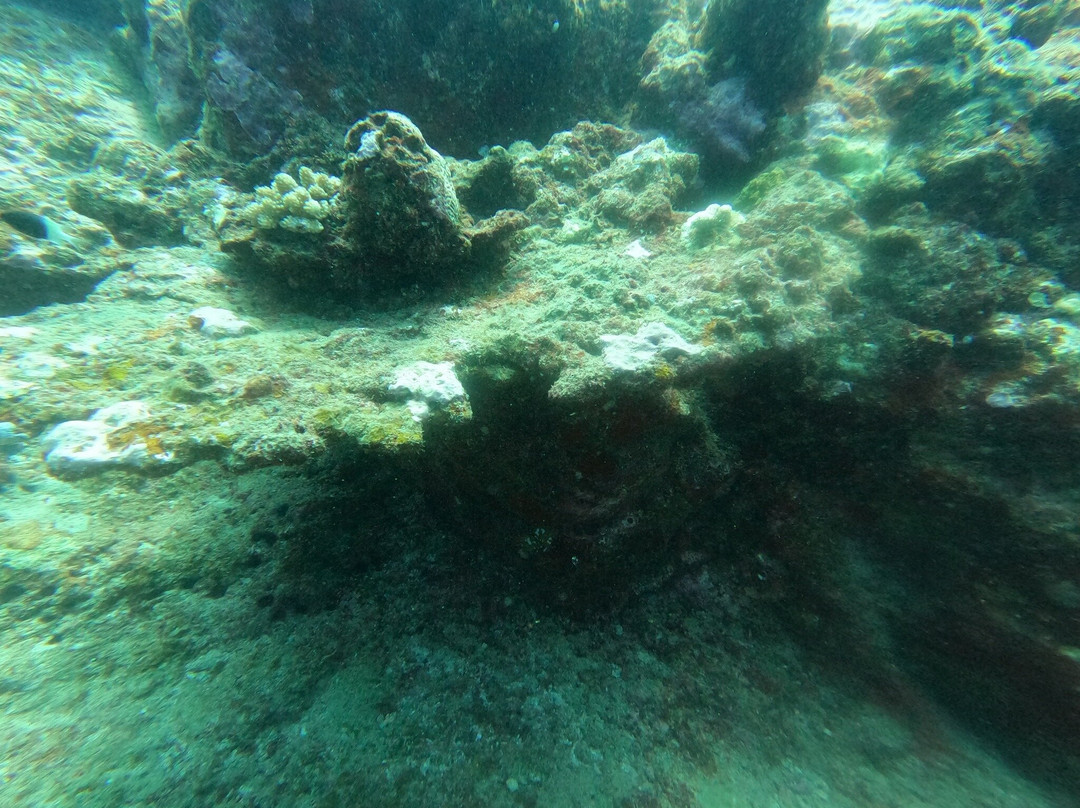 Scuba World Diving Mauritius-马喜埔必去景点