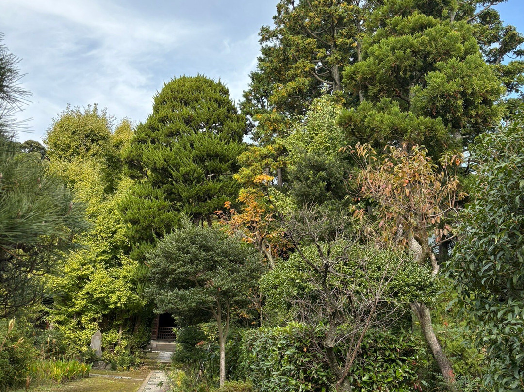 Jorakuji Temple-镰仓市必去景点