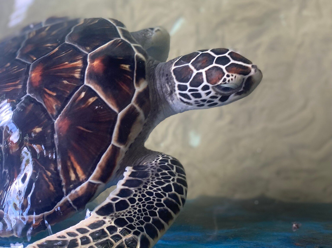 Charli Tours-亚洪加拉必去景点