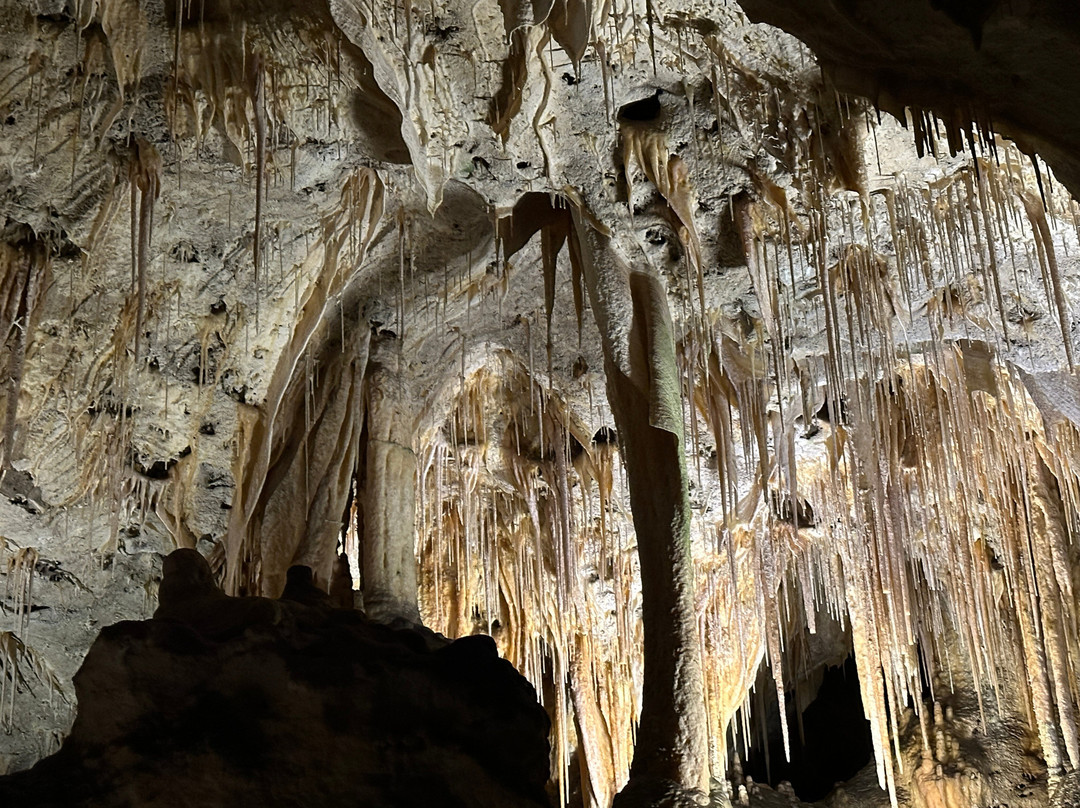 Carlsbad Caverns Natural Entrance Tour-卡尔斯巴德洞穴国家公园必去景点