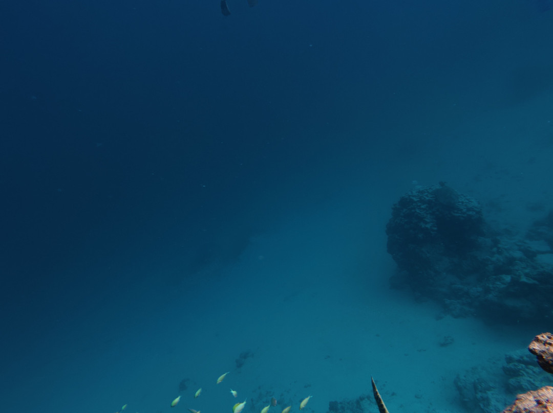 Go Local Cook Islands-堤堤卡维加必去景点