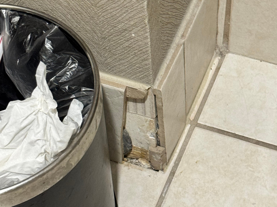 辛辛那提东北（布鲁阿什）希尔顿合博套房酒店主图